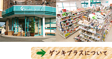 ゲンキプラス（豊橋店）無農薬野菜、有機野菜、自然食品、健康食品、サプリメント、自然化粧品、自然雑貨などを販売。安心して安全な素材をお求めいただけます。